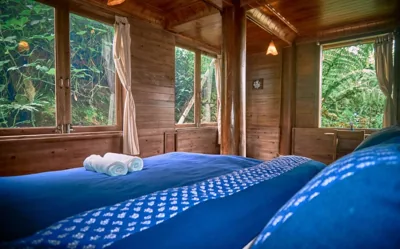 Lagom Home - Bamboo Forest – Photos 5